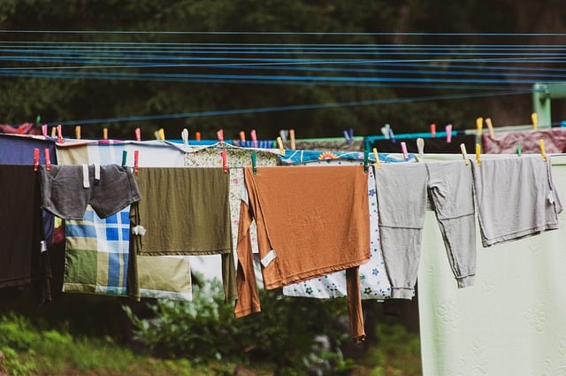 【洗濯物とカメムシ対策】取り込みタイミングと対策法！臭いの対処も！