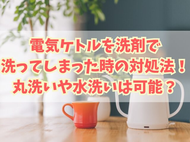 電気ケトルを洗剤で洗ってしまった時の対処法！丸洗いや水洗いは可能？