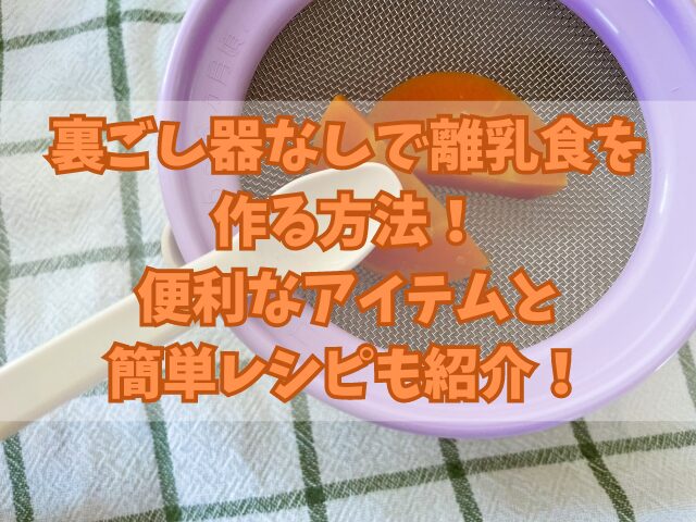 裏ごし器なしで離乳食を作る方法！便利なアイテムと簡単レシピも紹介！