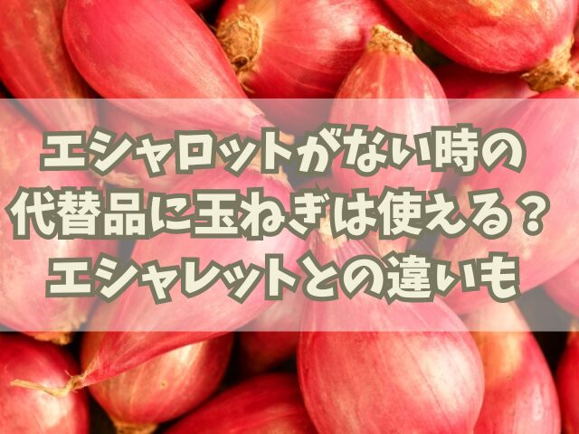 エシャロットがない時の代替品に玉ねぎは使える？エシャレットとの違いも