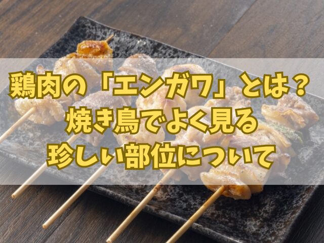 鶏肉の部位「エンガワ」とは？焼き鳥でよく見る珍しい部位について