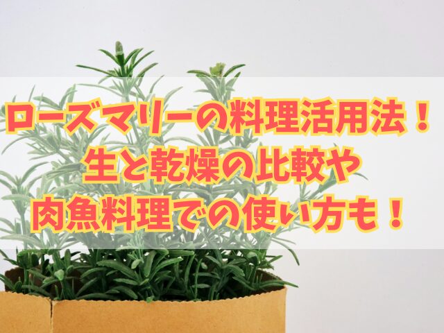 ローズマリーの料理活用法！生と乾燥の比較や肉魚料理での使い方も！