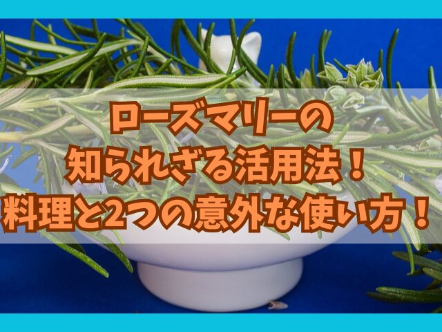 ローズマリーの知られざる活用法！料理と2つの意外な使い方を紹介！