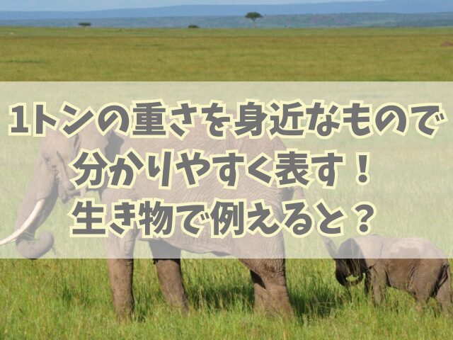 1トンの重さを身近なもので分かりやすく表す！生き物で例えると？