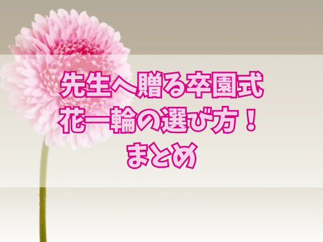 先生へ贈る卒園式花一輪の選び方！花言葉や贈る際のマナーも