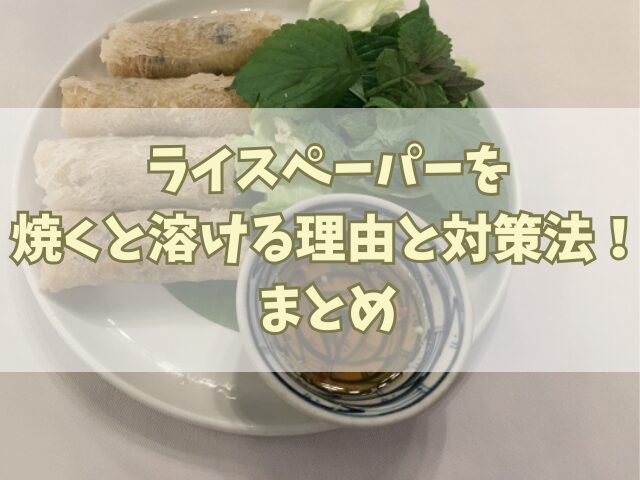 ライスペーパーを焼くと溶ける理由と対策法！具材選びのポイントも