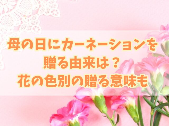 母の日にカーネーションを贈る由来は？花の色別の贈る意味も