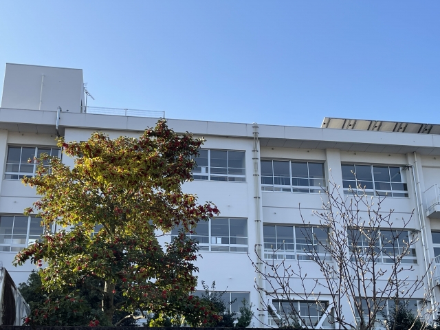 登校日が消えた？学校や親目線から見る現在の夏休み事情