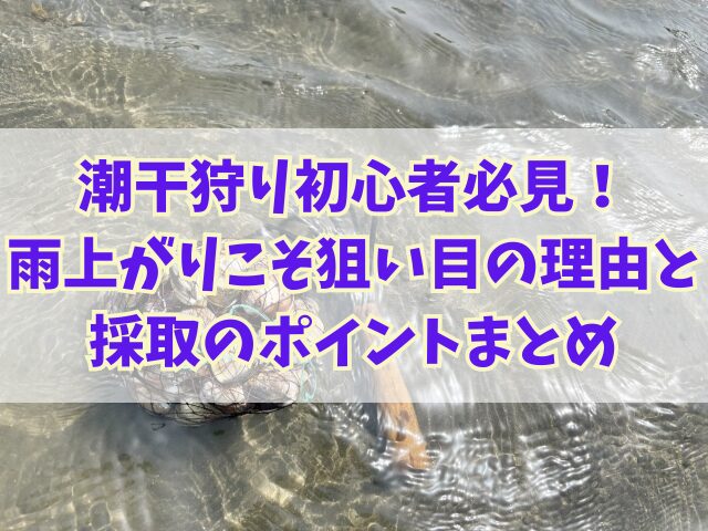 潮干狩り初心者必見！雨上がりこそ狙い目の理由と採取のポイント