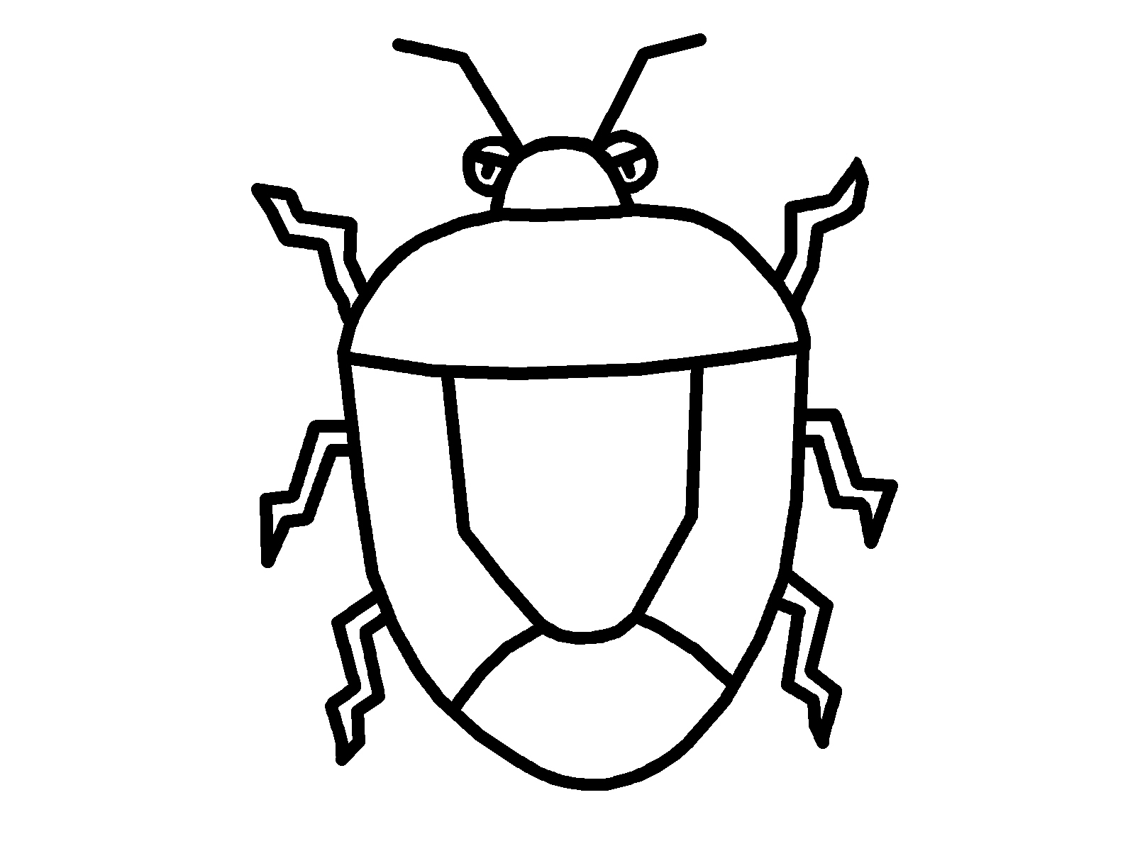 カメムシの卵を洗濯物に見つけた時の正しい対処法