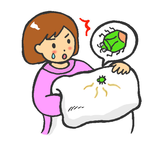 カメムシの卵を洗濯物に見つけた時の正しい対処法