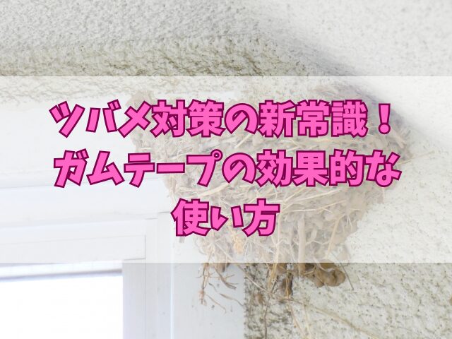 ツバメ対策の新常識！ガムテープの効果的な使い方