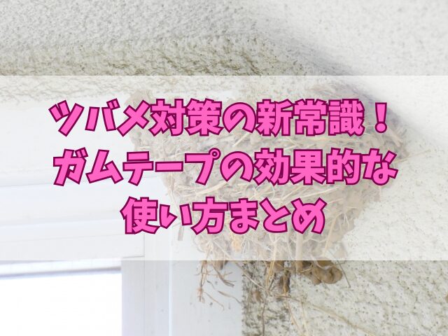ツバメ対策の新常識！ガムテープの効果的な使い方