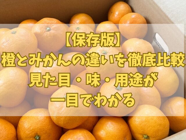 【保存版】橙とみかんの違いを徹底比較｜見た目・味・用途が一目でわかる