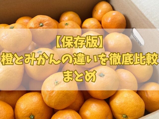 【保存版】橙とみかんの違いを徹底比較|見た目・味・用途が一目でわかる