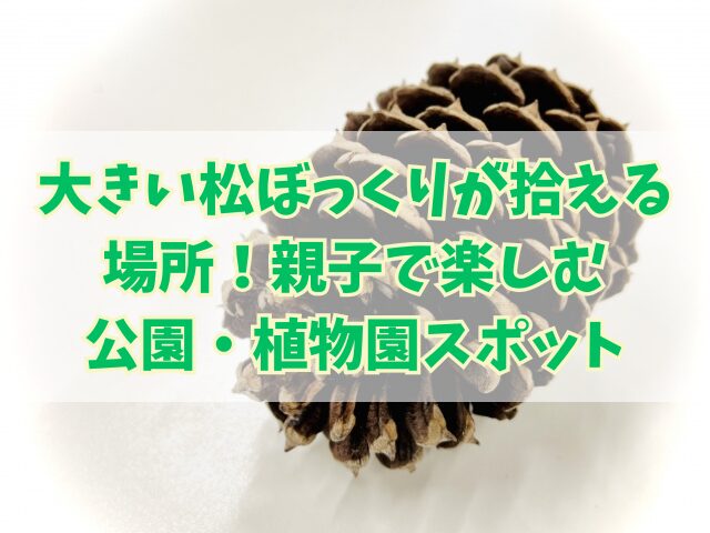大きい松ぼっくりが拾える場所！親子で楽しむ公園・植物園スポット
