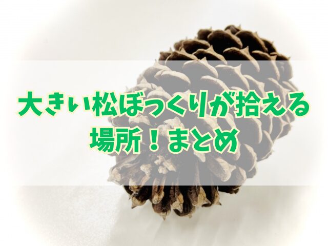 大きい松ぼっくりが拾える場所！親子で楽しむ公園・植物園スポット