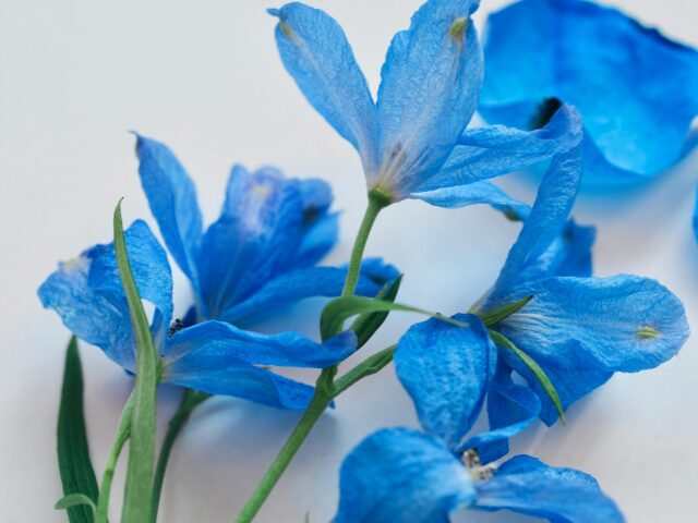 青色は何色で作る？水彩〜アクリルまで使える混色レシピと配色のコツ